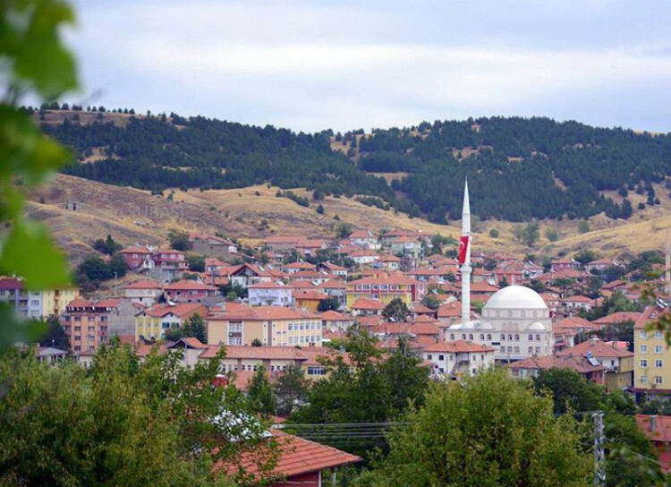 görüntü