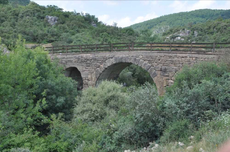 görüntü