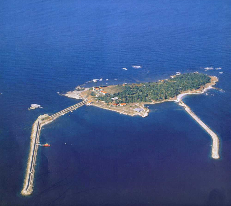 görüntü
