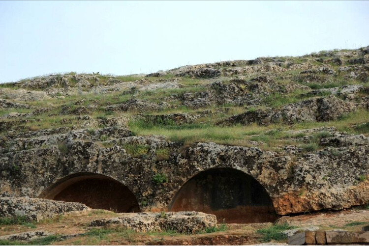 görüntü
