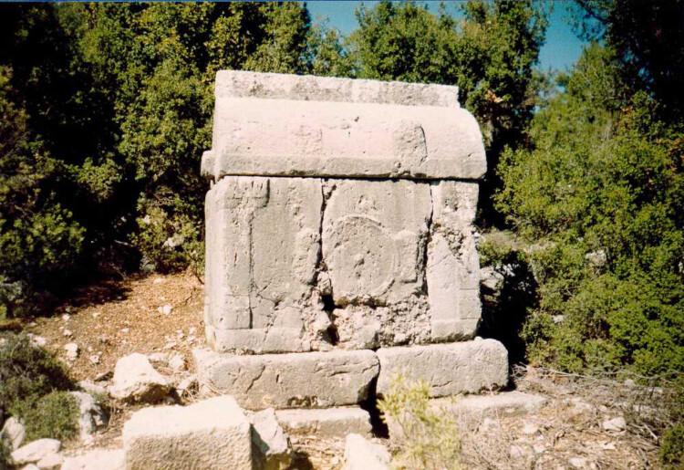 görüntü