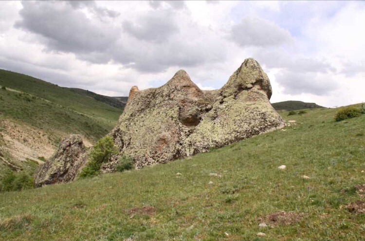 görüntü