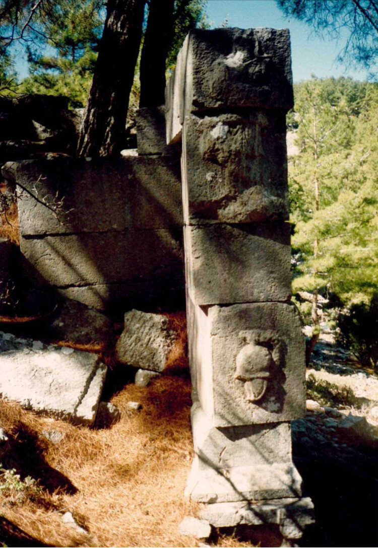 görüntü