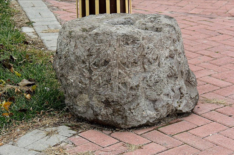 görüntü