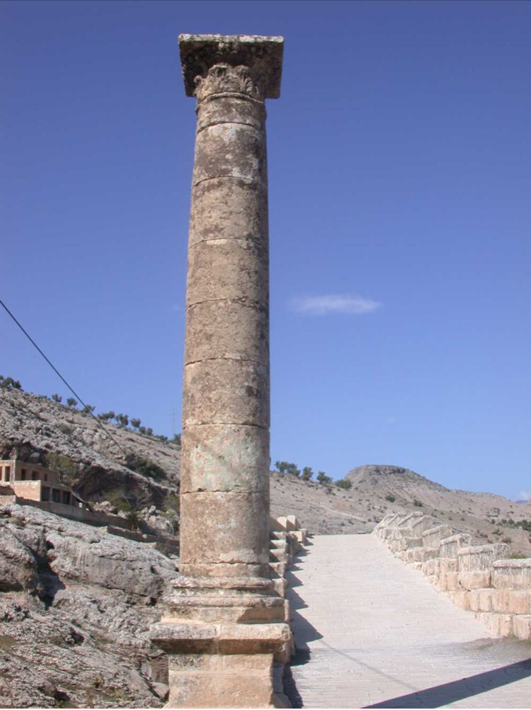 görüntü