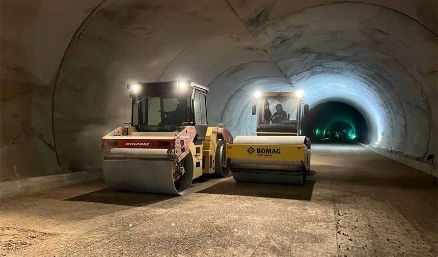 66481
