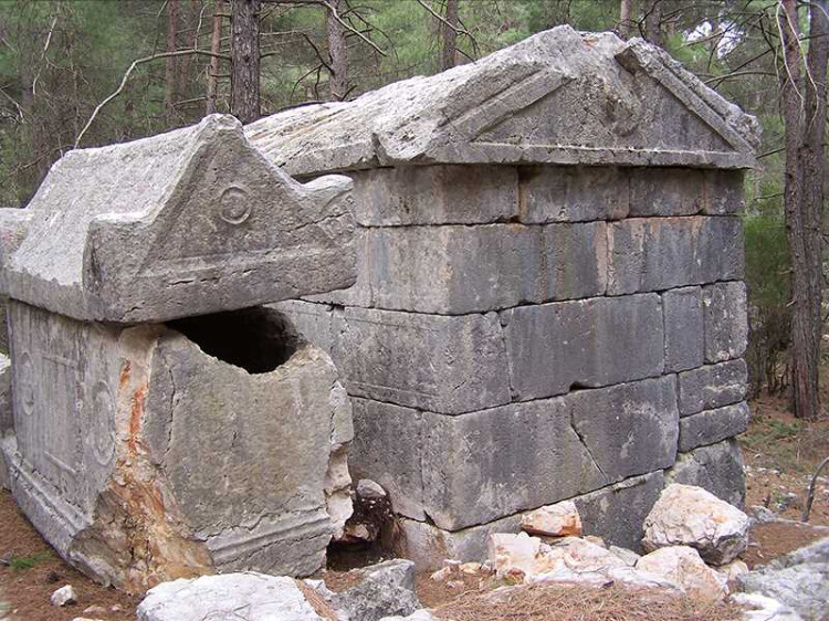 görüntü