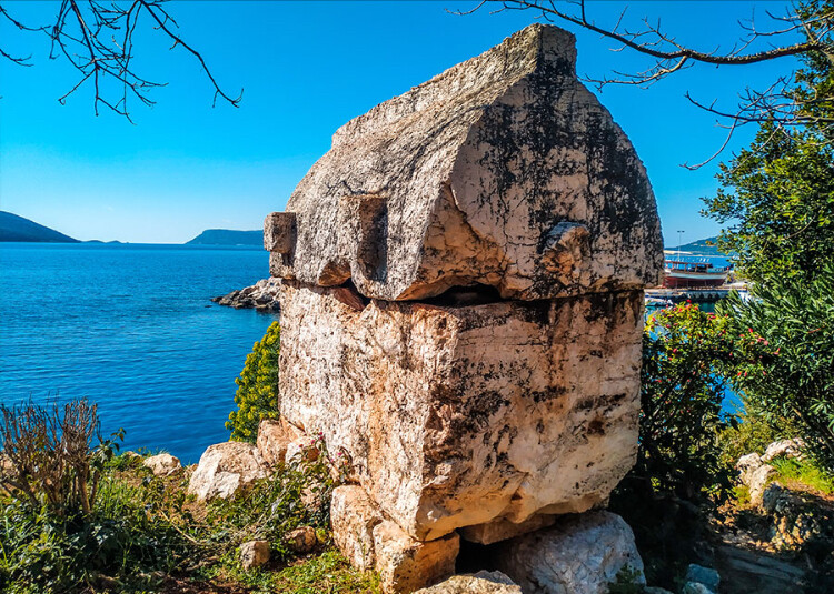 görüntü