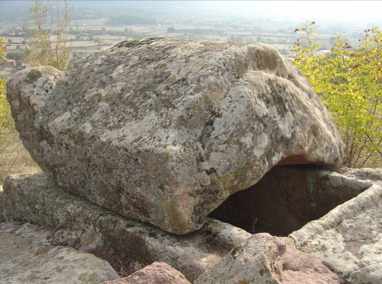 görüntü