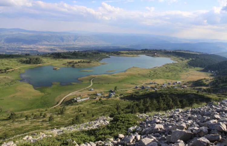 görüntü