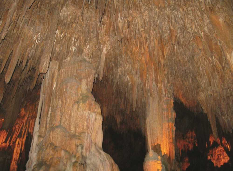 görüntü