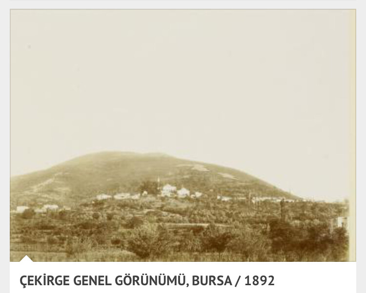 görüntü