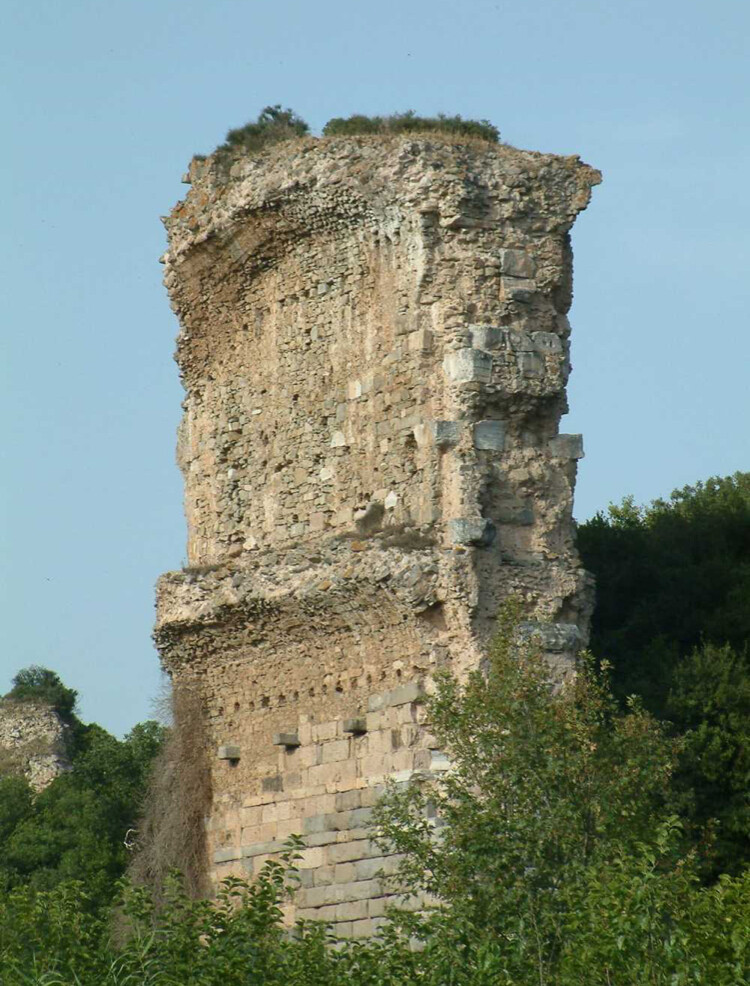 görüntü