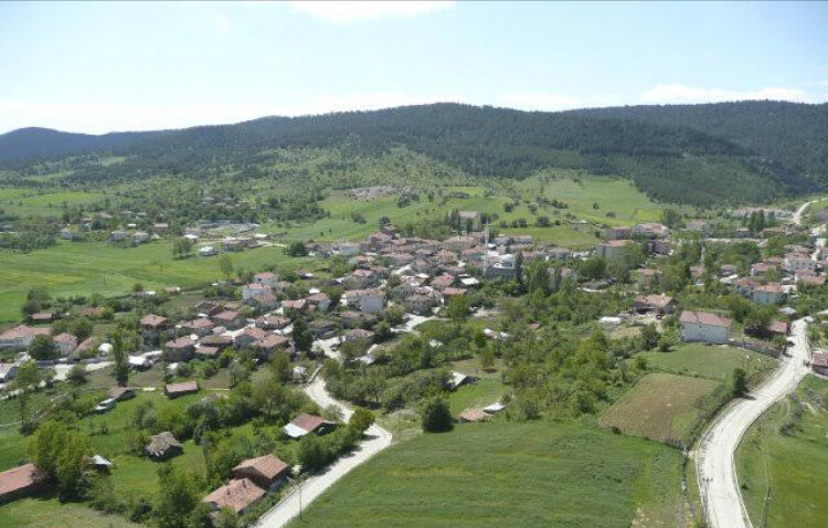 görüntü