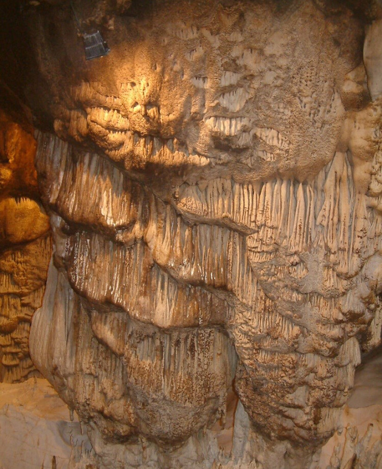 görüntü
