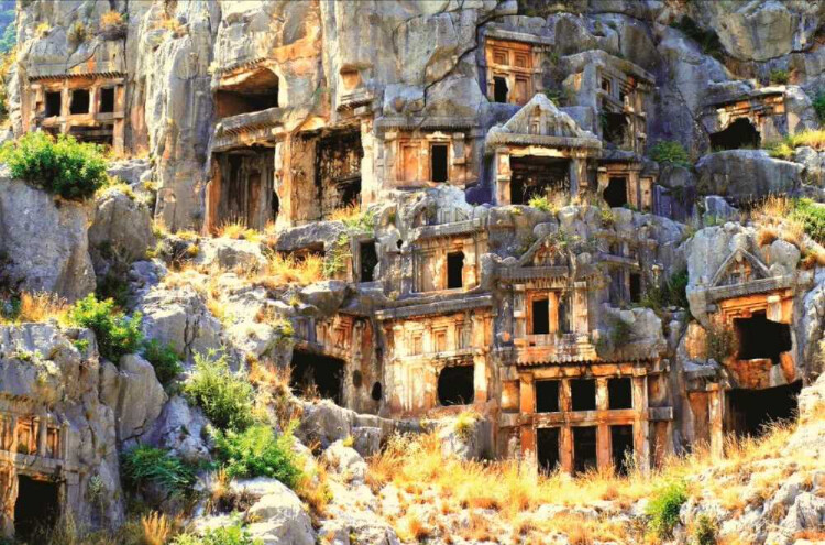 görüntü