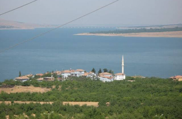 görüntü