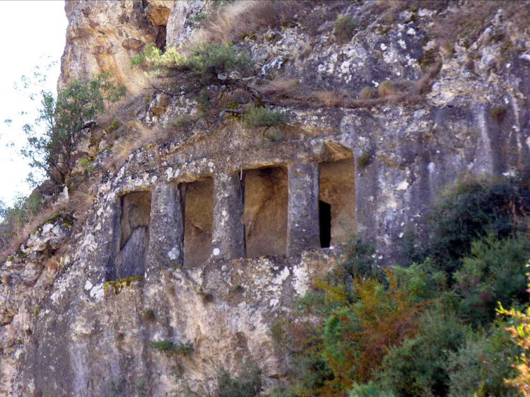 görüntü