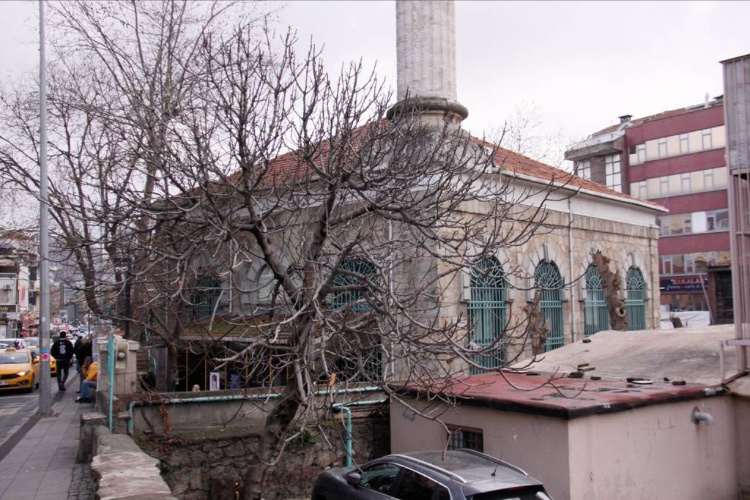 görüntü