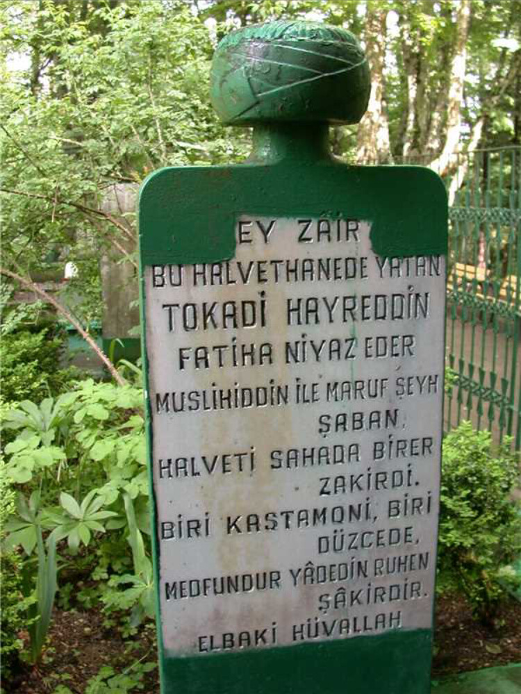 görüntü