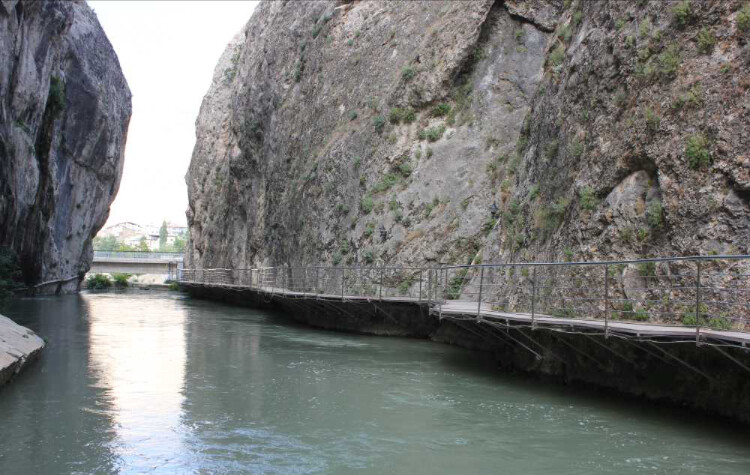 görüntü