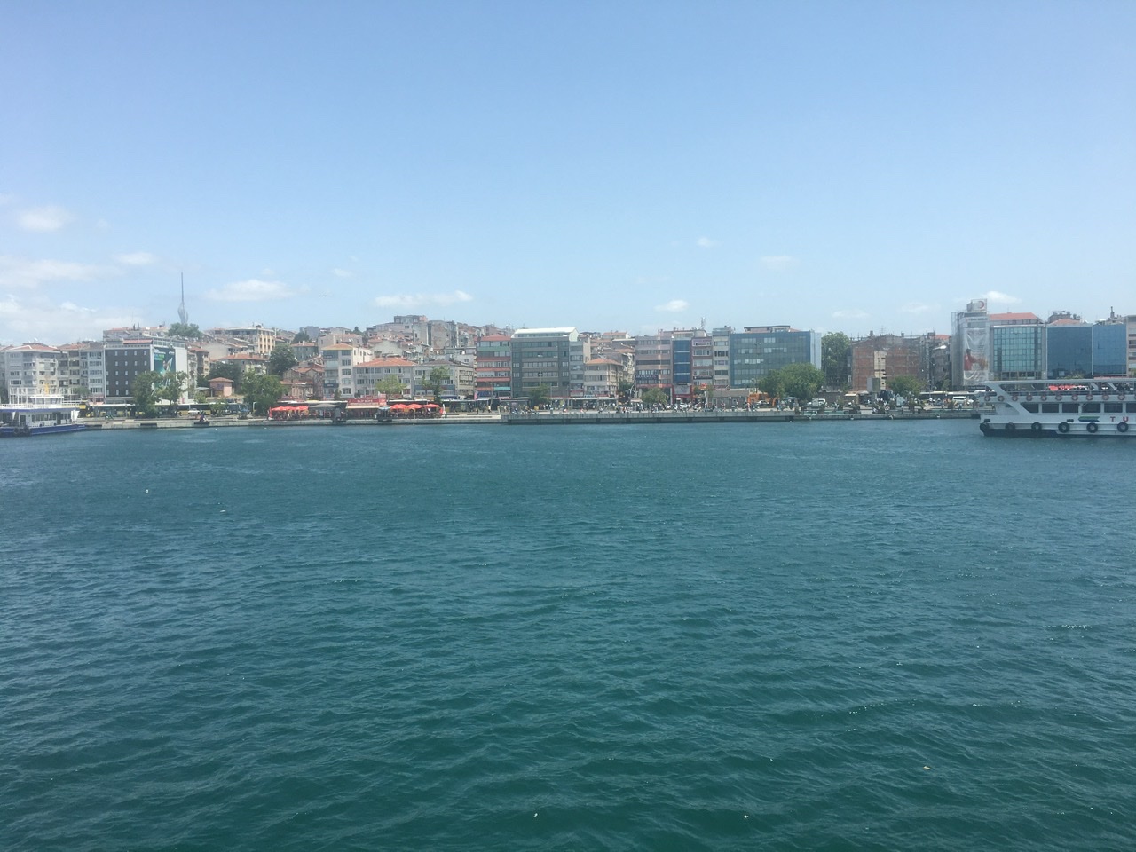 7F37F795-DBEB-438E-8D15-EE6D294D5043.jpeg