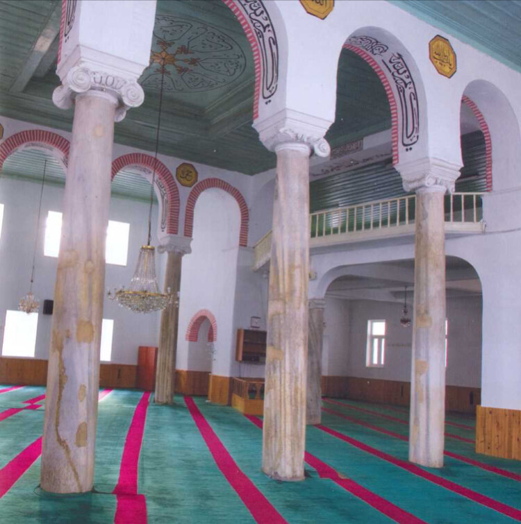 görüntü