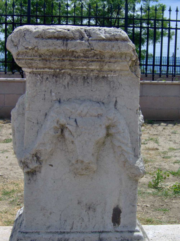 görüntü