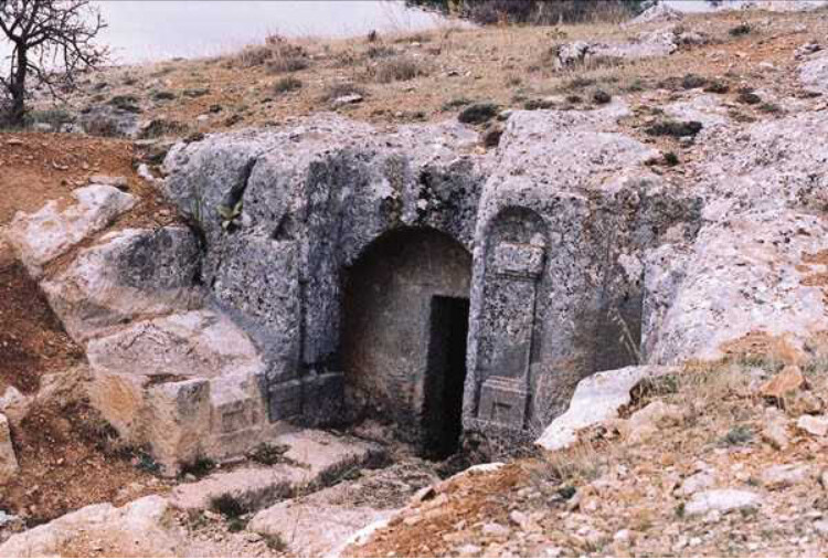 görüntü