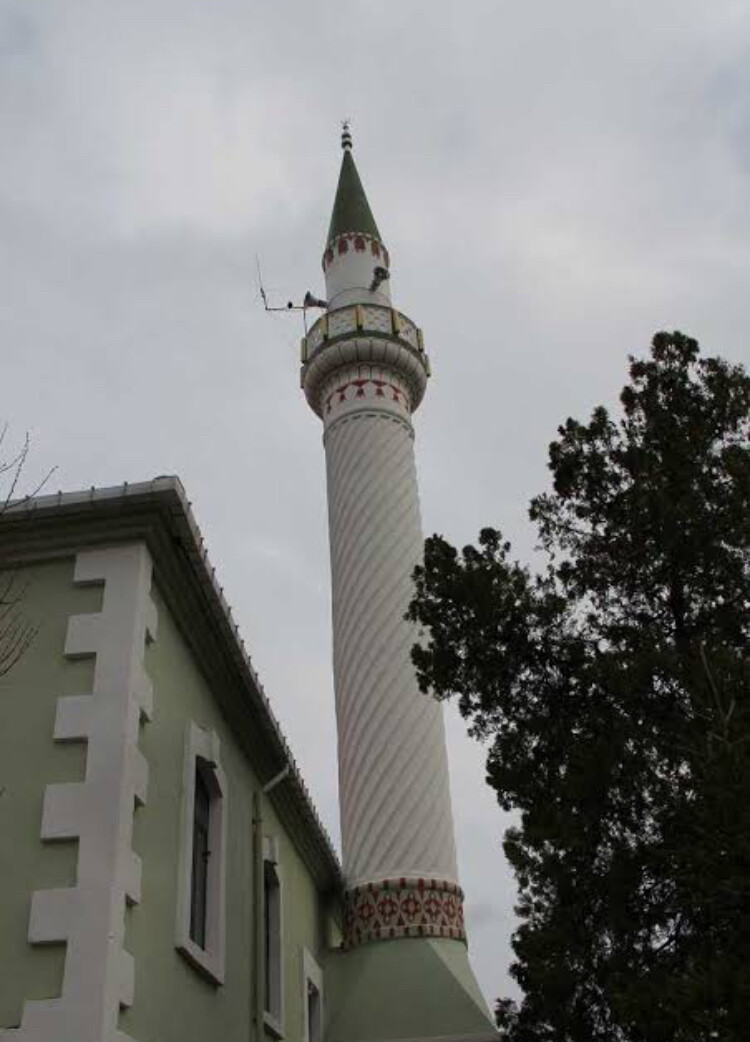 görüntü