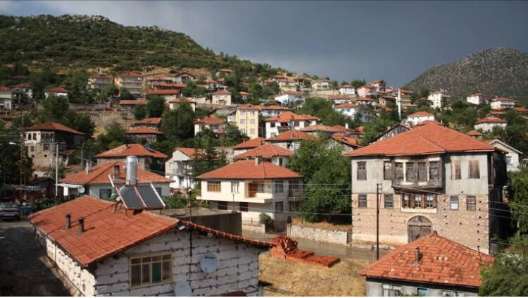görüntü