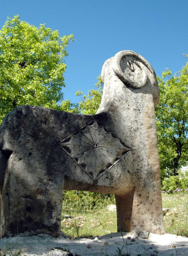görüntü