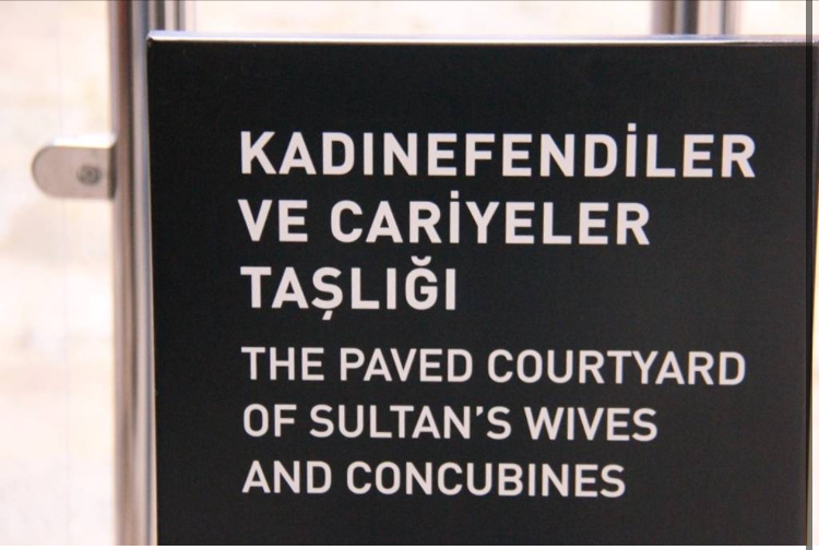 görüntü