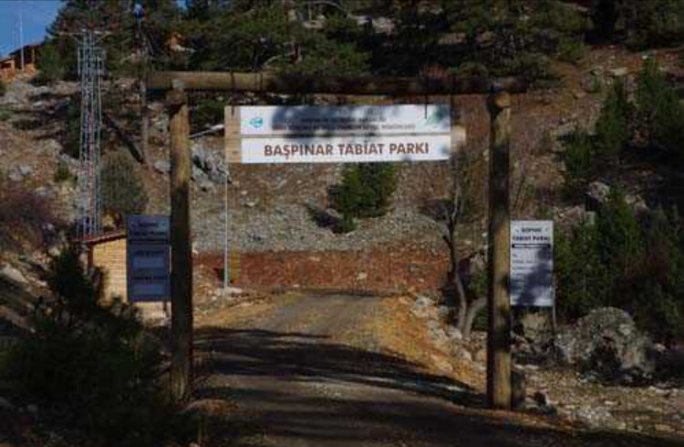 görüntü