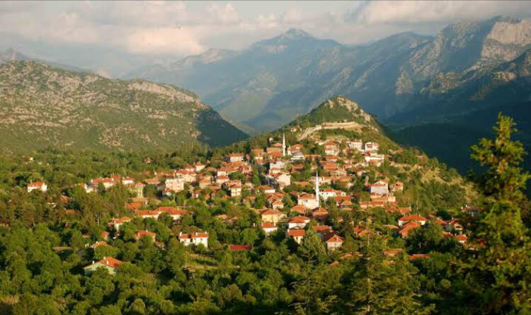 görüntü