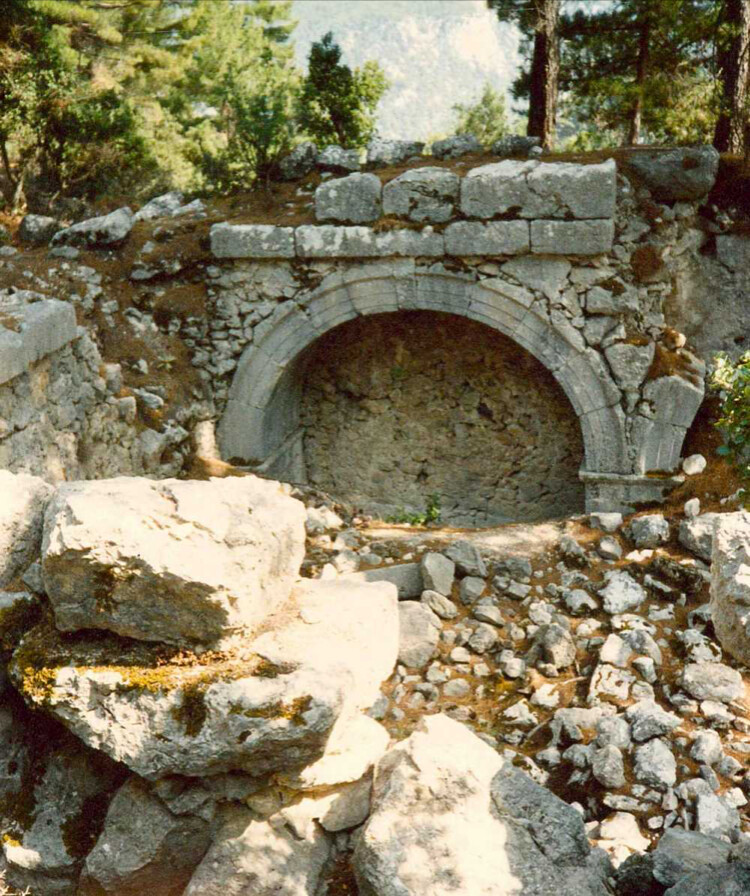 görüntü