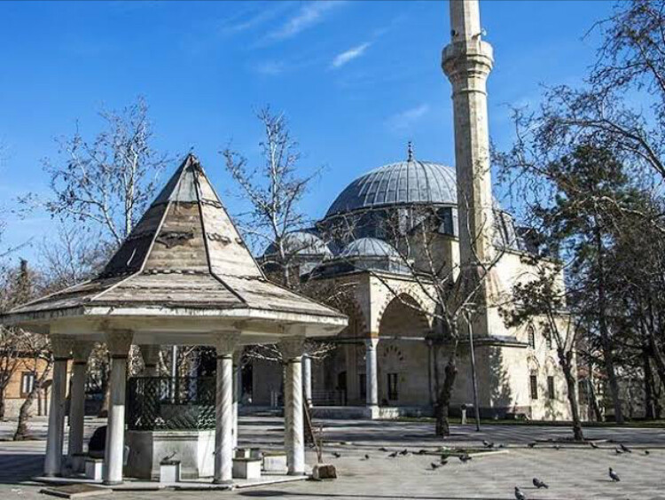 görüntü