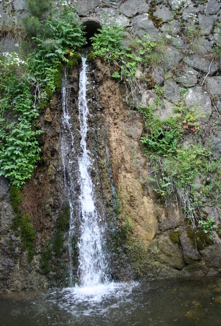 görüntü