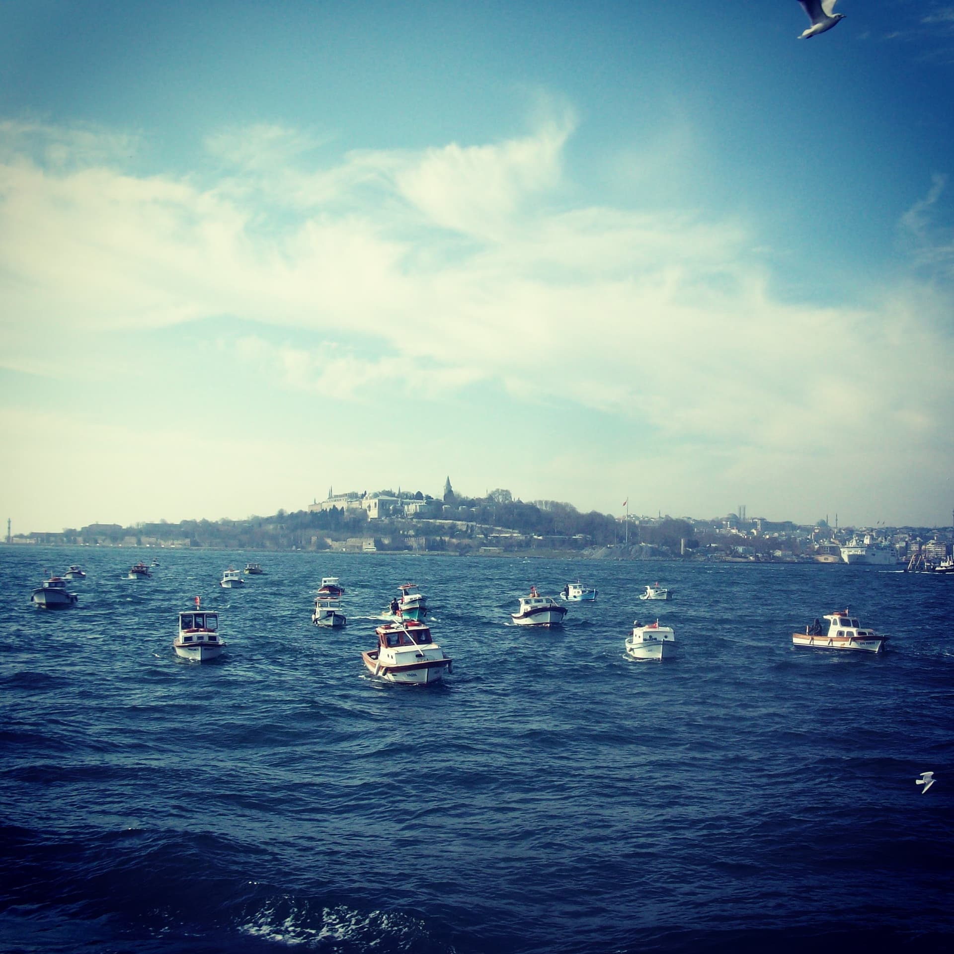 9.7.15 yedeği 138