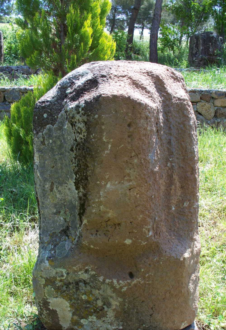 görüntü