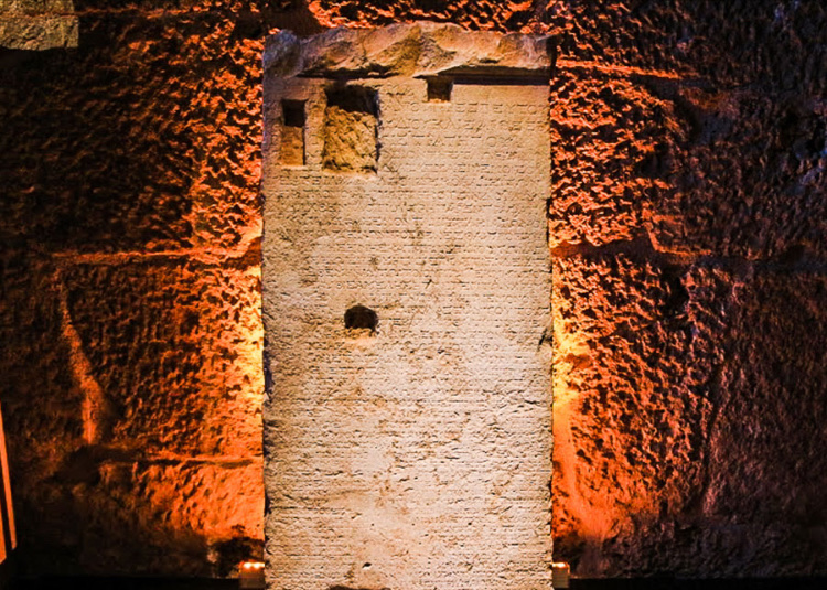 görüntü