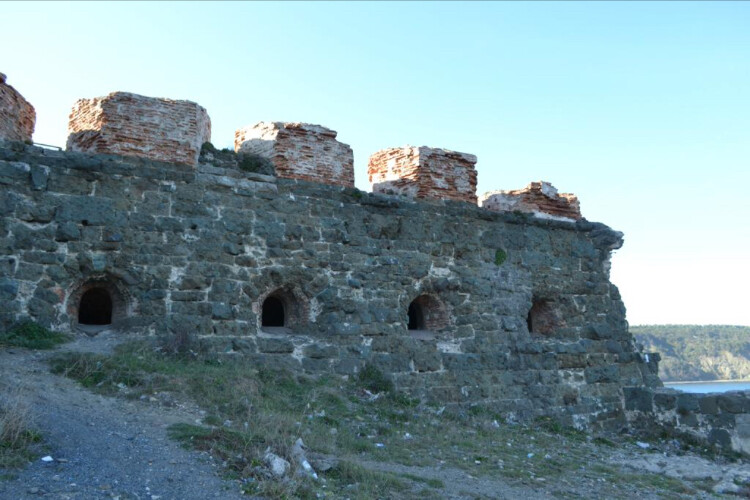 görüntü