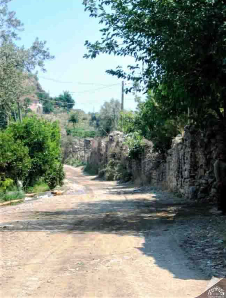 görüntü