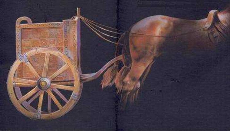 görüntü