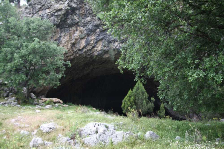 görüntü