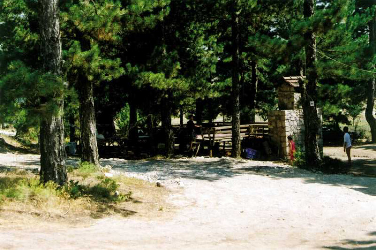 görüntü