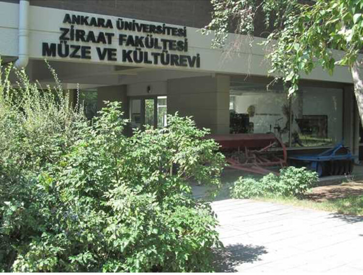 görüntü