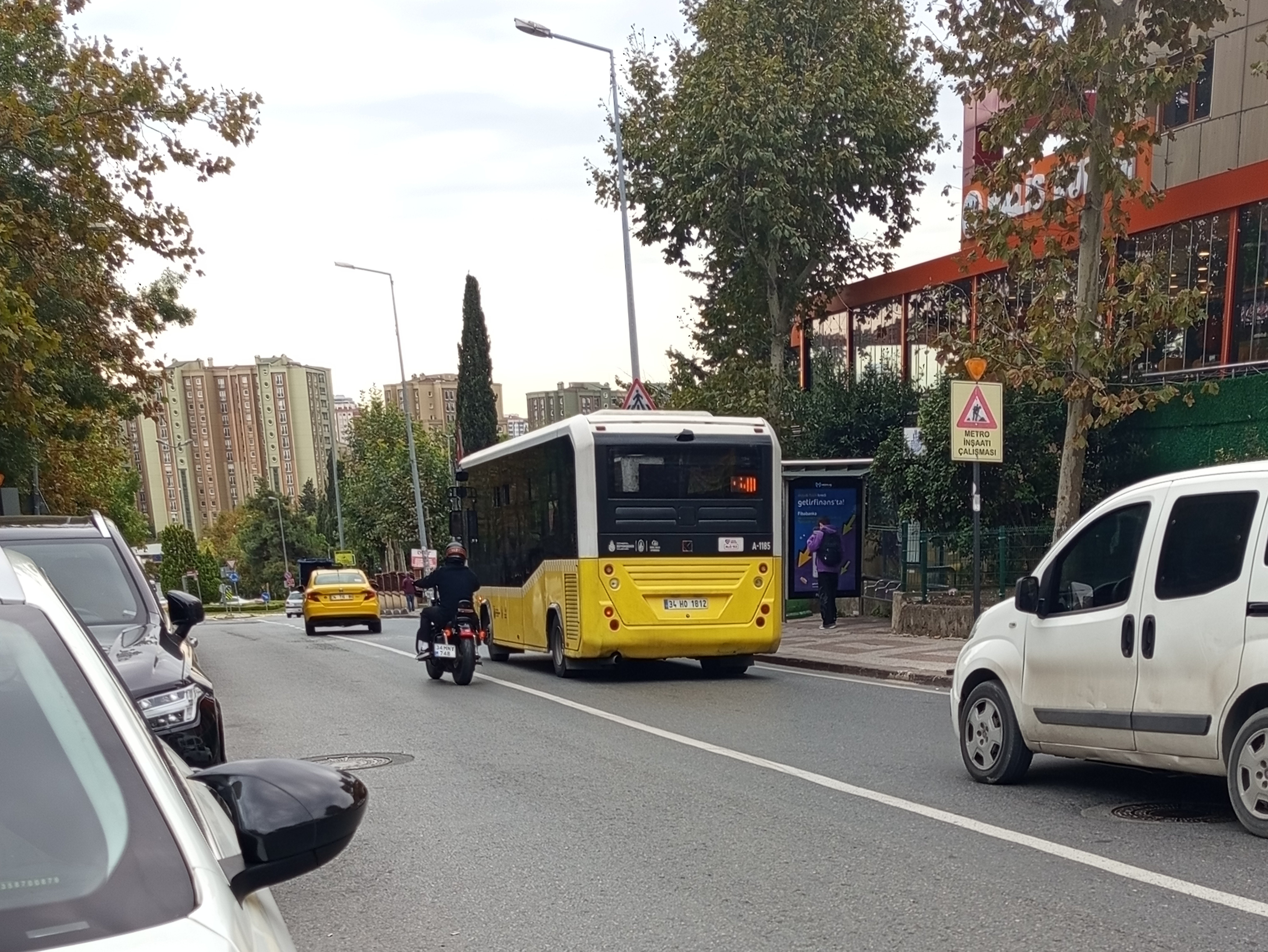 A-1185.jpg
