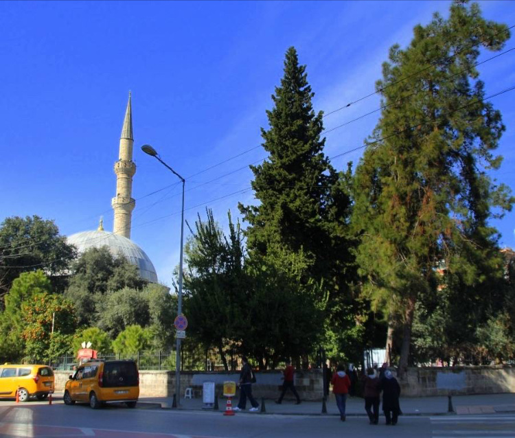 görüntü