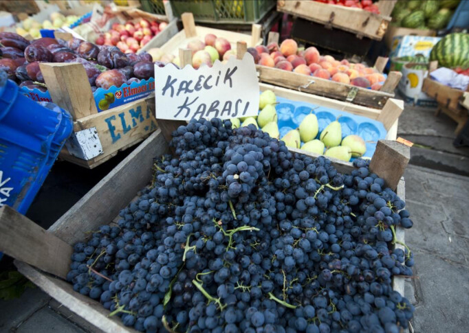 görüntü